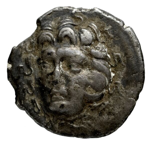 Philip V Macedon AMNG III.2 25, аверс, bnf-iris