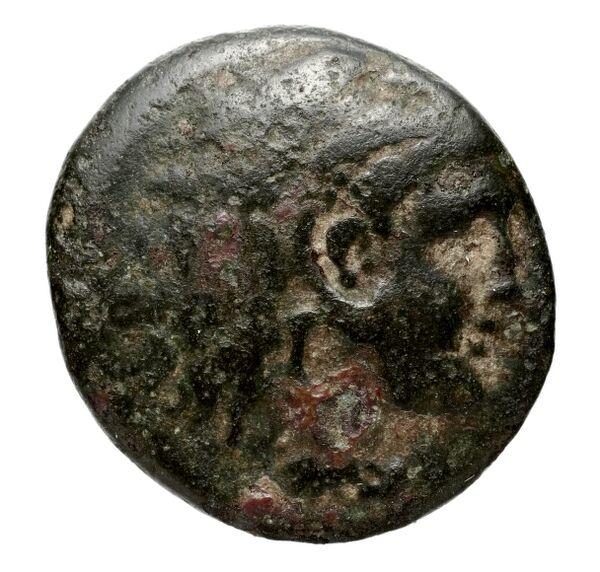 Philip V Macedon AMNG III.2 12, аверс, bnf-iris