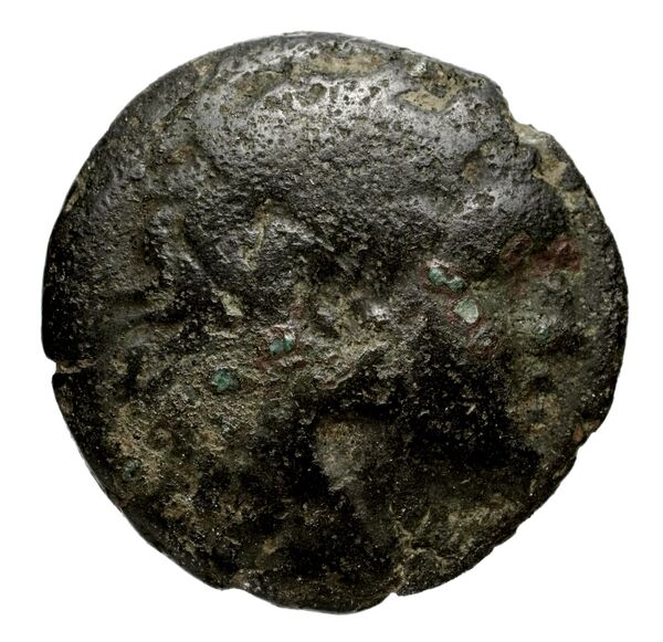 Philip V Macedon AMNG III.2 12, аверс, bnf-iris