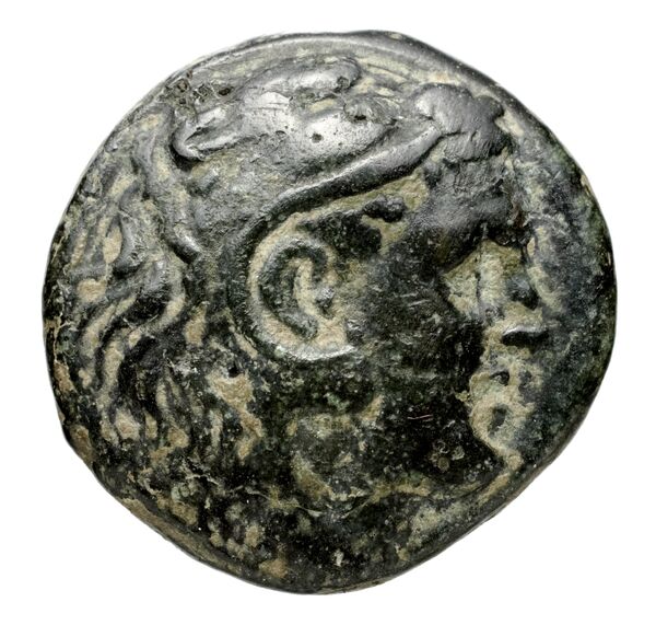 Philip V Macedon AMNG III.2 12, аверс, bnf-iris