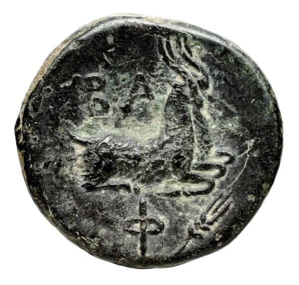 Philip V Macedon AMNG III.2 12, реверс, bnf-iris