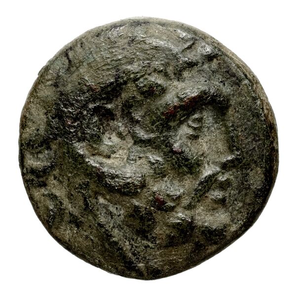 Velia Historia Numorum Italy 1259, аверс, bnf-iris