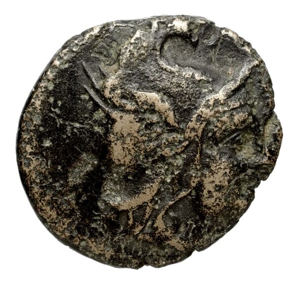 Philip V Macedon AMNG III.2 30, аверс, bnf-iris