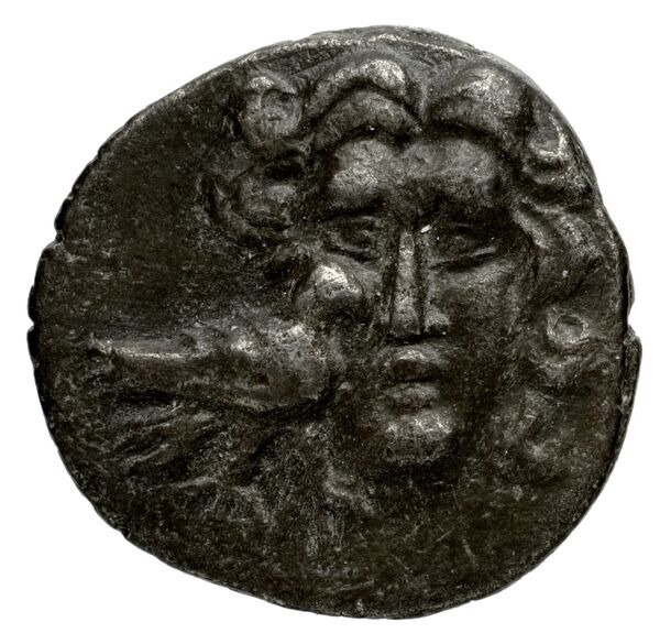 Philip V Macedon AMNG III.2 30, аверс, bnf-iris
