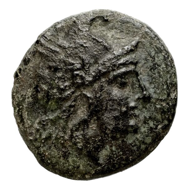 Philip V Macedon AMNG III.2 30, аверс, bnf-iris