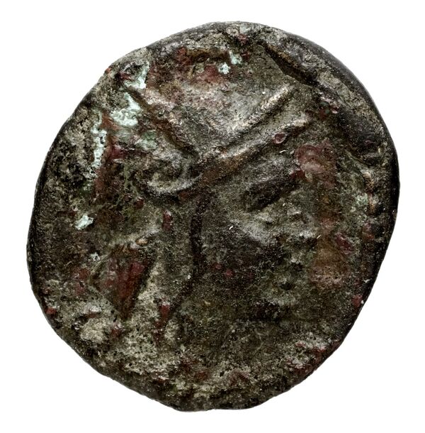 Philip V Macedon AMNG III.2 30, аверс, bnf-iris
