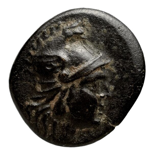 Philip V Macedon AMNG III.2 31, аверс, bnf-iris
