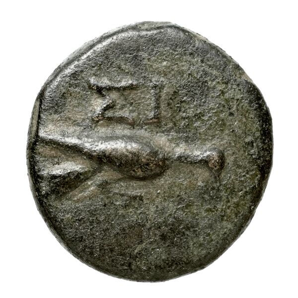 Velia Historia Numorum Italy 1277-8, аверс, bnf-iris