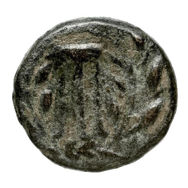 Velia Historia Numorum Italy 1277-8, реверс, bnf-iris