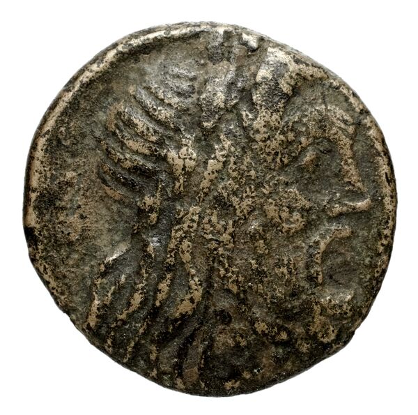 Philip V Macedon AMNG III.2 8-9, аверс, bnf-iris