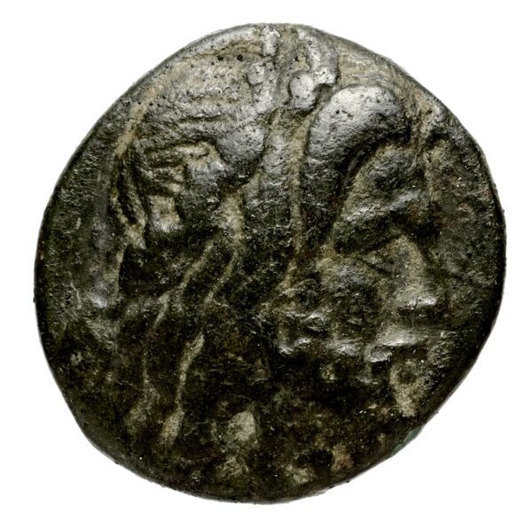 Philip V Macedon AMNG III.2 8-9, аверс, bnf-iris