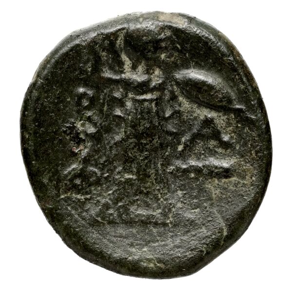 Philip V Macedon AMNG III.2 8-9, реверс, bnf-iris