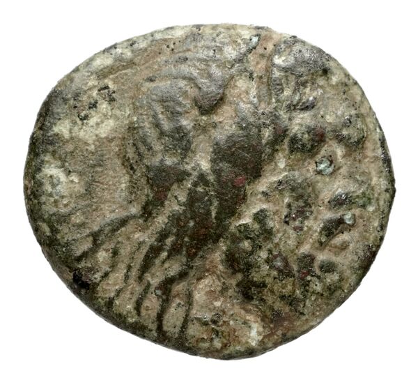 Philip V Macedon AMNG III.2 8-9, аверс, bnf-iris