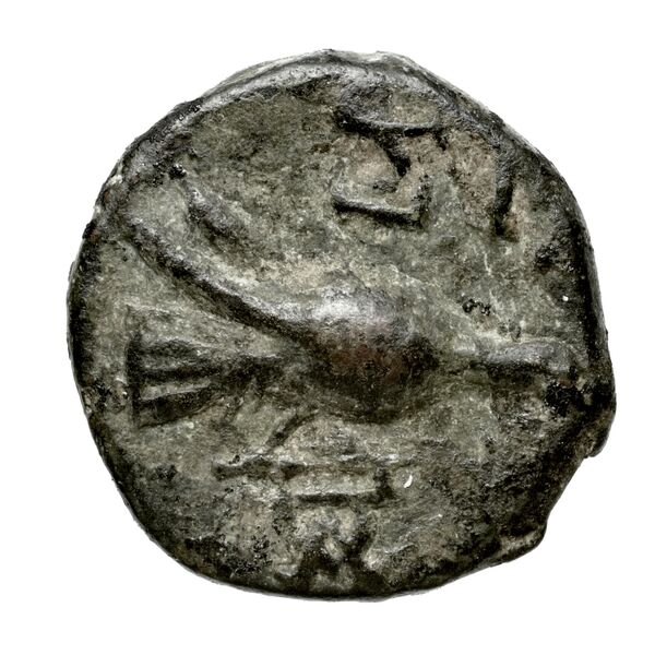 Rhodes Jenkins 1989 Group E hemidrachms, аверс, bnf-iris