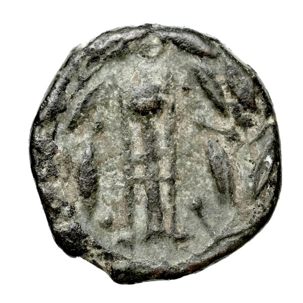 Rhodes Jenkins 1989 Group E hemidrachms, реверс, bnf-iris