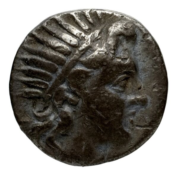 Philip V Macedon AMNG III.2 24, аверс, bnf-iris