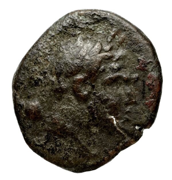 Philip V Macedon AMNG III.2 22, аверс, bnf-iris