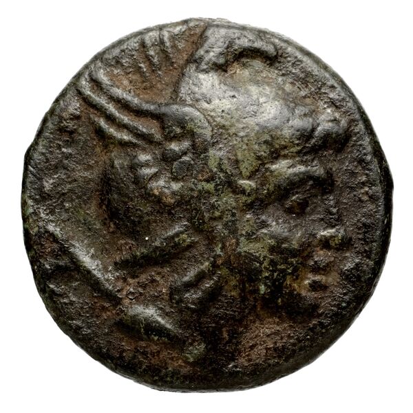 Philip V Macedon AMNG III.2 20-21, аверс, bnf-iris