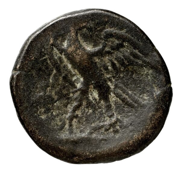 Philip V Macedon AMNG III.2 20-21, реверс, bnf-iris