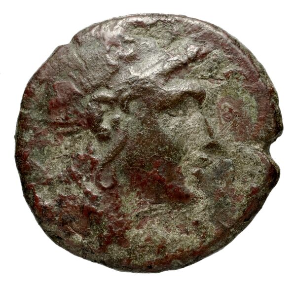 Tragilus AMNG III.2 6-8, аверс, bnf-iris