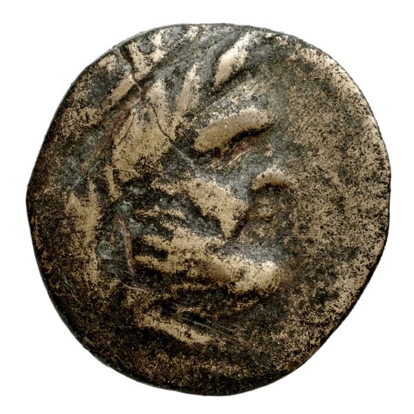 Philip V Macedon AMNG III.2 11, аверс, bnf-iris