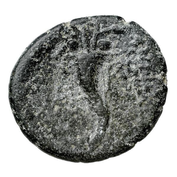 Tarsus SNG Levante 924, реверс, bnf-iris