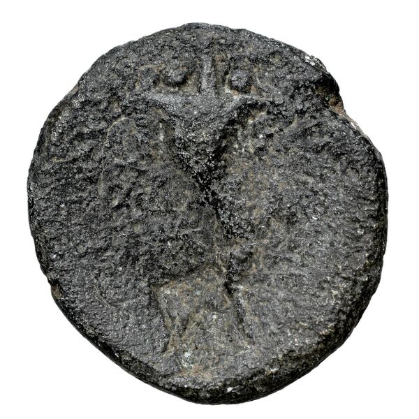 Tarsus SNG Levante 924, реверс, bnf-iris