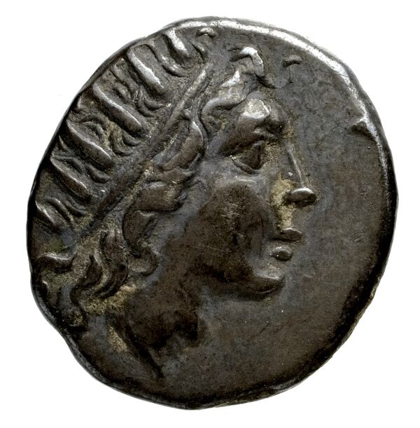Philip V Macedon AMNG III.2 2, аверс, bnf-iris