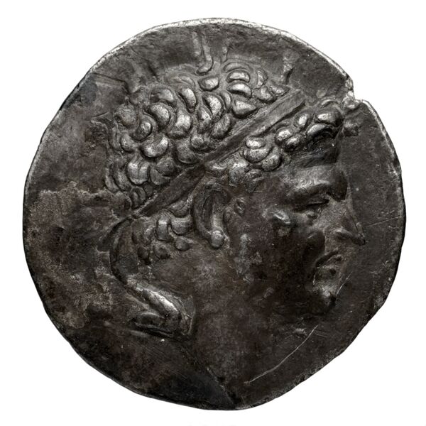 Velia Historia Numorum Italy 1289-94, 1296-98, аверс, bnf-iris
