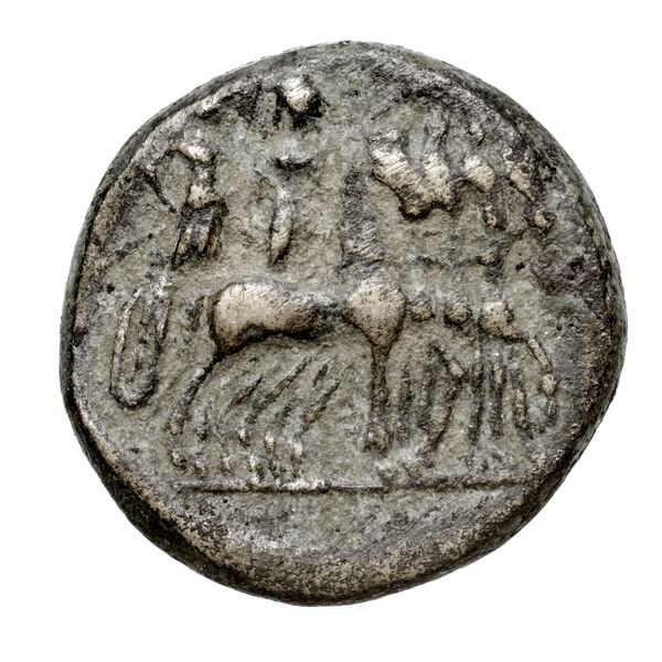 Phintias of Akragas obv