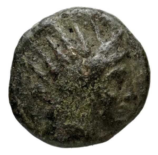 Velia Historia Numorum Italy 1289-94, 1296-98, аверс, bnf-iris