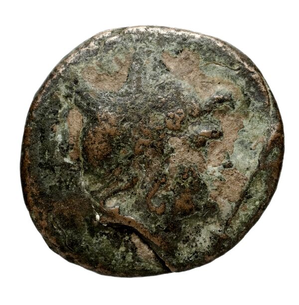 Velia Historia Numorum Italy 1289-94, 1296-98, аверс, bnf-iris