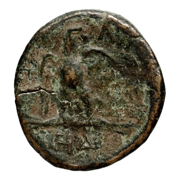 Velia Historia Numorum Italy 1289-94, 1296-98, реверс, bnf-iris