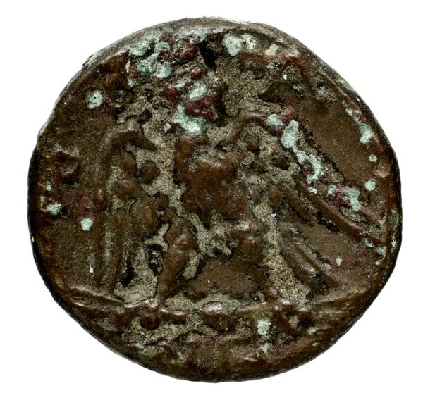Tralles BMC Tralles 63-5, reverse, bnf-iris