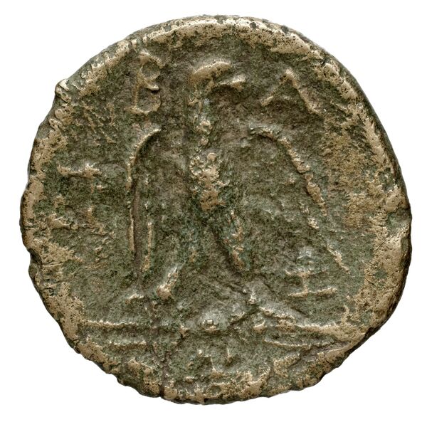 Tralles BMC Tralles 56-8, reverse, bnf-iris