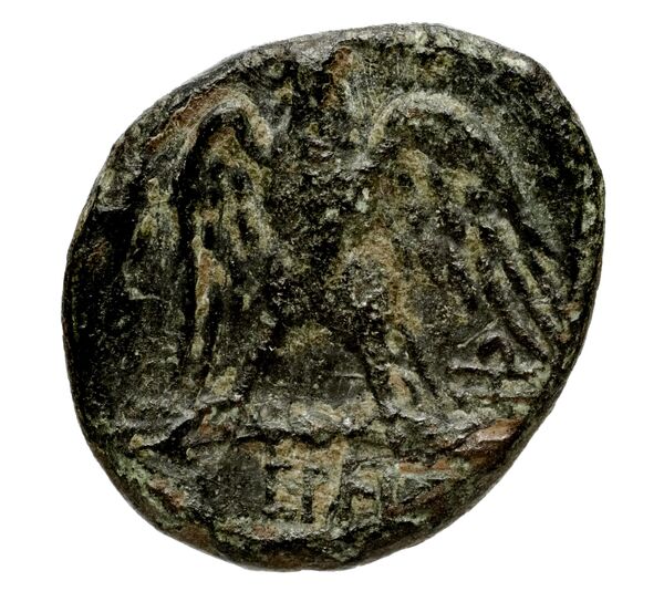 Tralles BMC Tralles 63-5, reverse, bnf-iris