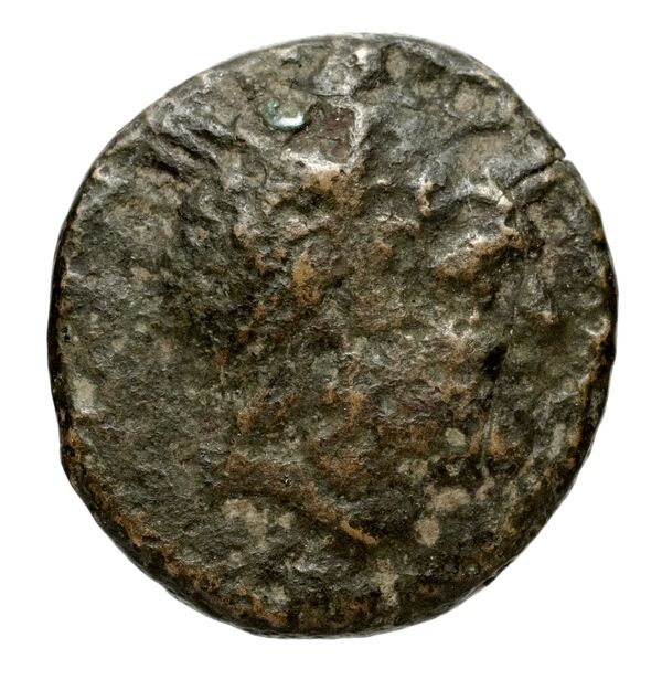 Tralles BMC Tralles 66-8, аверс, bnf-iris