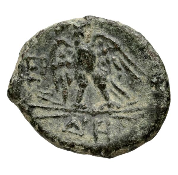 реверс Velia Historia Numorum Italy 1337