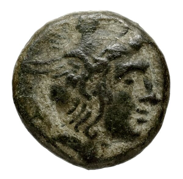 Tralles BMC Tralles 63-5, obverse, bnf-iris