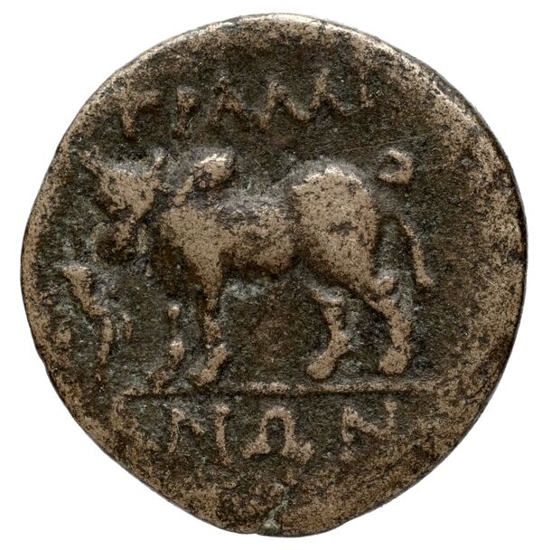 Tralles BMC Tralles 63-5, reverse, bnf-iris