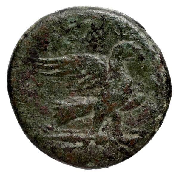 Tralles BMC Tralles 69-70, reverse, bnf-iris