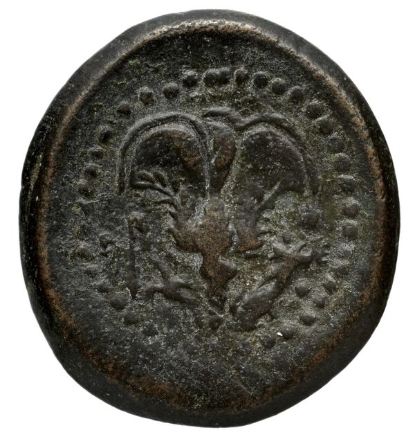 Elis BMC Elis 125-128, реверс, bnf-iris