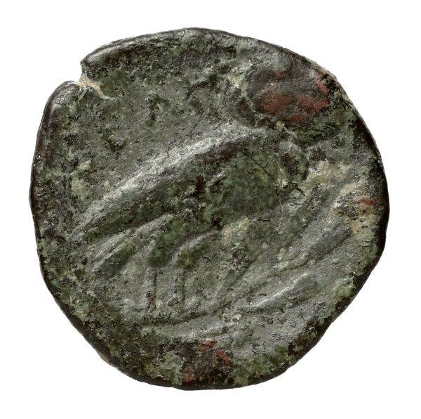 Tralles BMC Tralles 66-8, реверс, bnf-iris