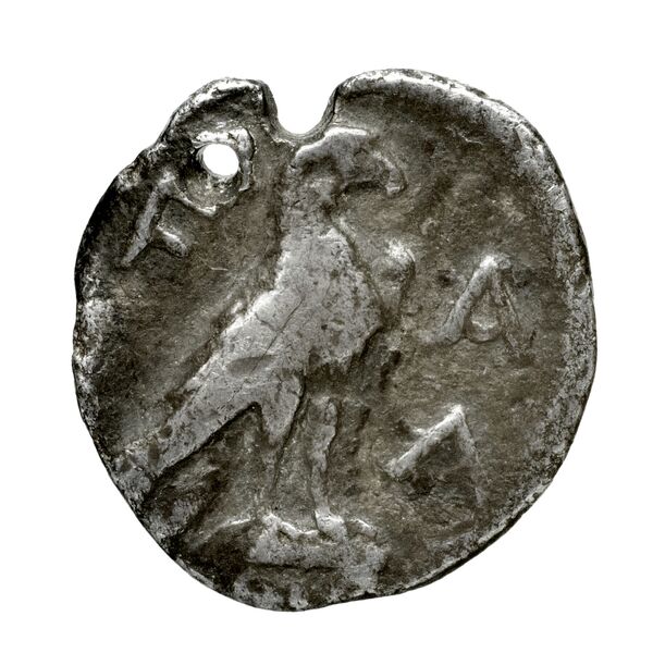 Tralles BMC Tralles 66-8, реверс, bnf-iris
