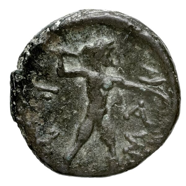 Elis BMC Elis 147, реверс, bnf-iris