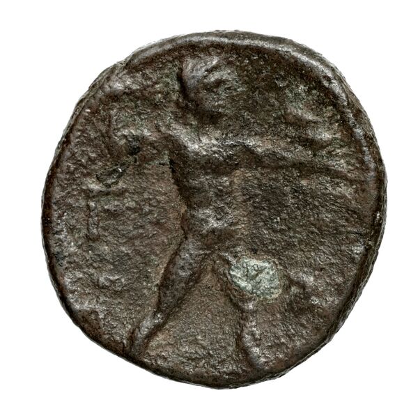 Elis BMC Elis 147, реверс, bnf-iris