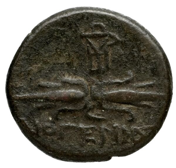 Elis BMC Elis 147, реверс, bnf-iris