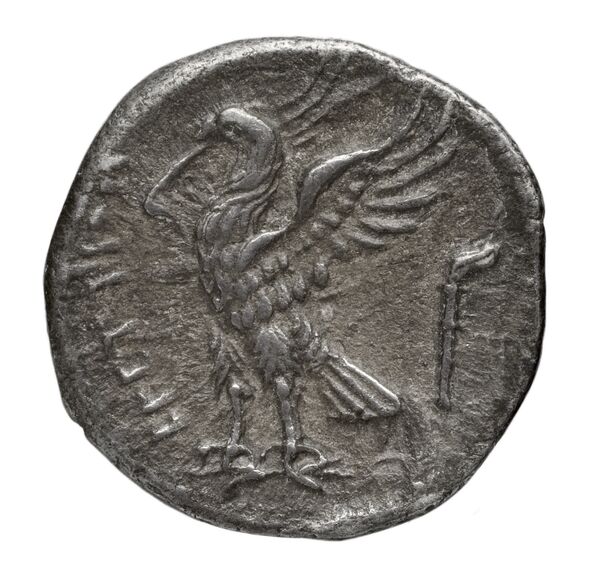 Rhodes BMC Rhodes 357-361, реверс, bnf-iris