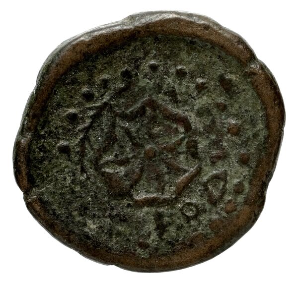 Rhodes BMC Rhodes 357-361, реверс, bnf-iris