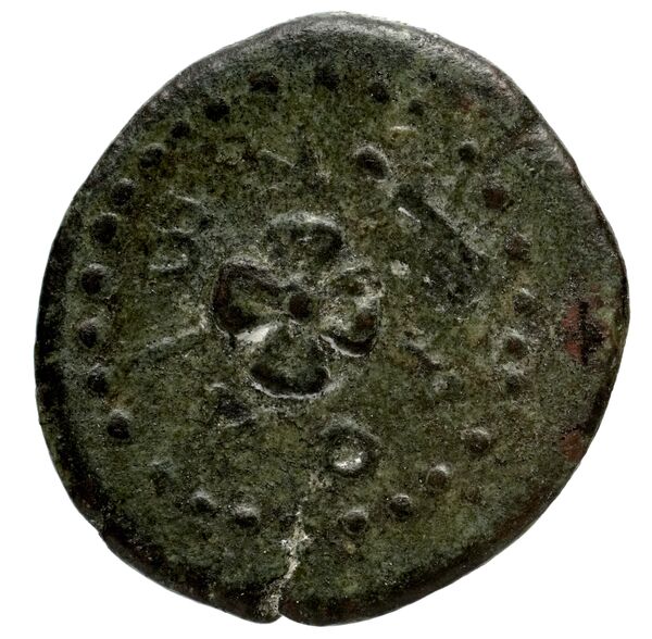 Rhodes BMC Rhodes 357-361, реверс, bnf-iris